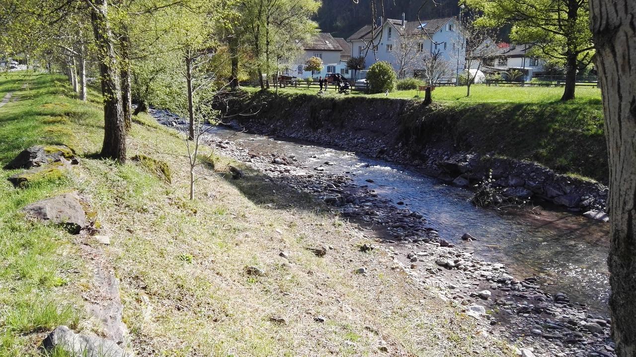 Ferienhaus Schils Flums Dış mekan fotoğraf